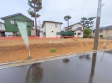  土地