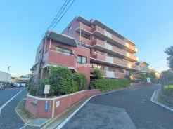 柏市柏