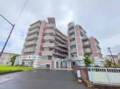 江戸川区平井７丁目