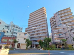 墨田区立花５丁目