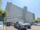 千葉県松戸市新松戸 