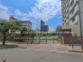 幼稚園