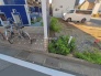 現地土地写真