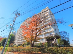 松戸市新松戸3丁目