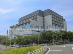 葛飾区青戸8丁目
