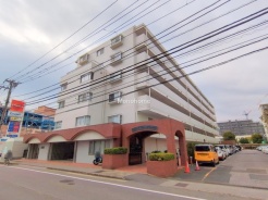 市川市鬼高3丁目